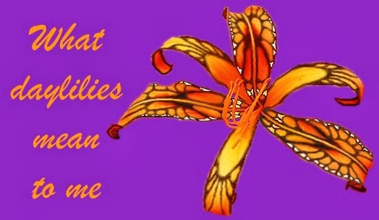 What daylilies mean to me
