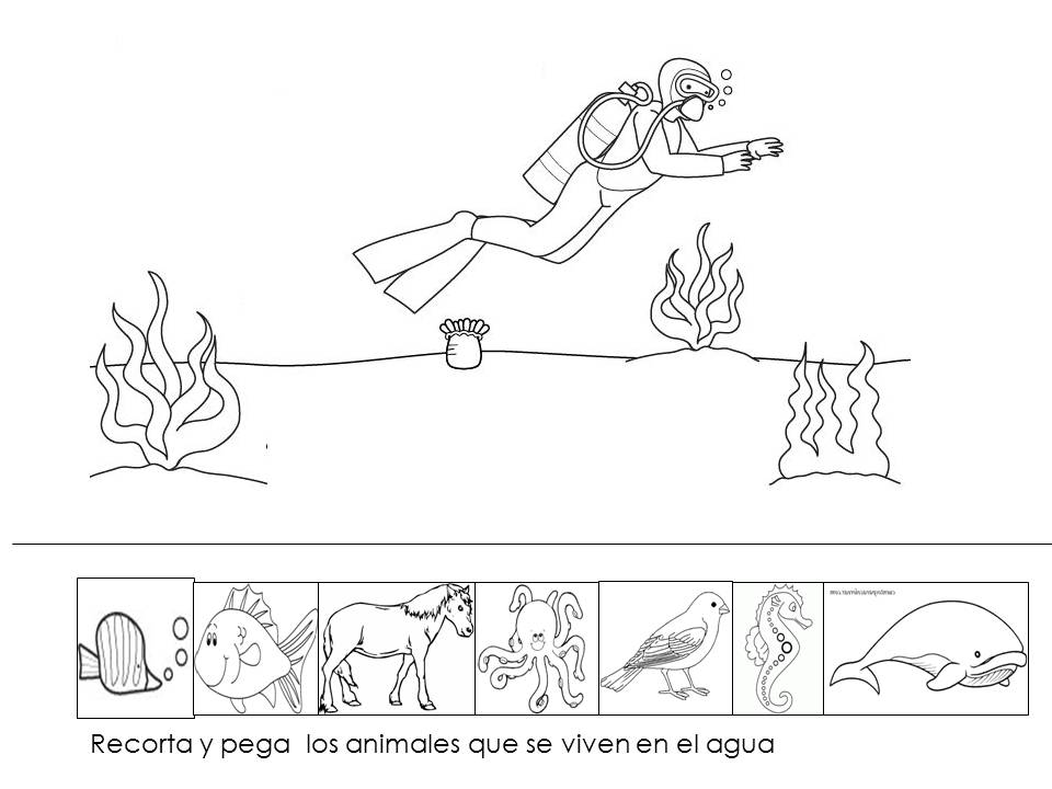 LOS ANIMALES ACUÁTICOS, TERRESTRES Y AÉREOS FICHAS DE TRABAJO