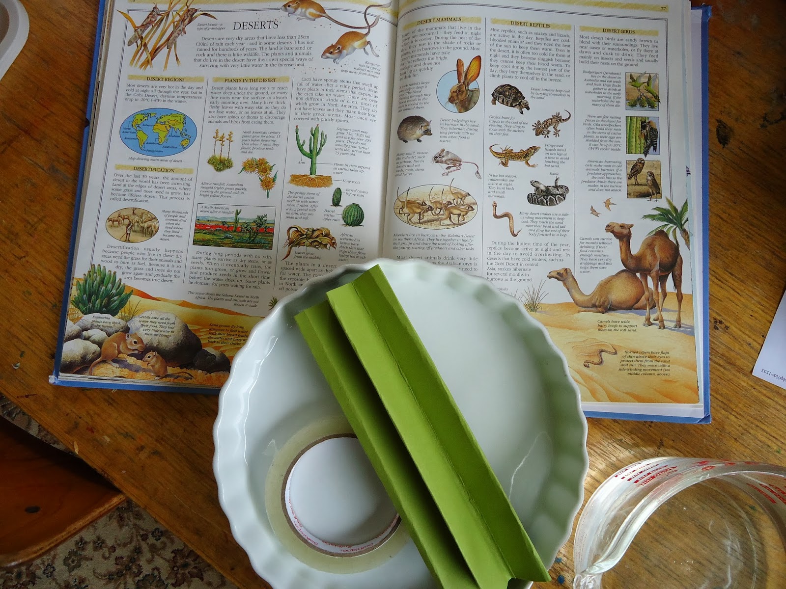 the Torrents Times: Desert science experiment