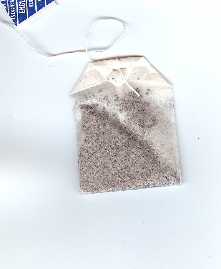 TEA PARTY INVITATION LOOSE TEA VS. TEA BAGS