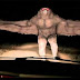 Mothman é capturado por câmera na Argentina?
