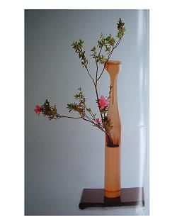 台灣花藝 春雲時雨 園藝部落格 igarden 花寶愛花園園藝文摘plus