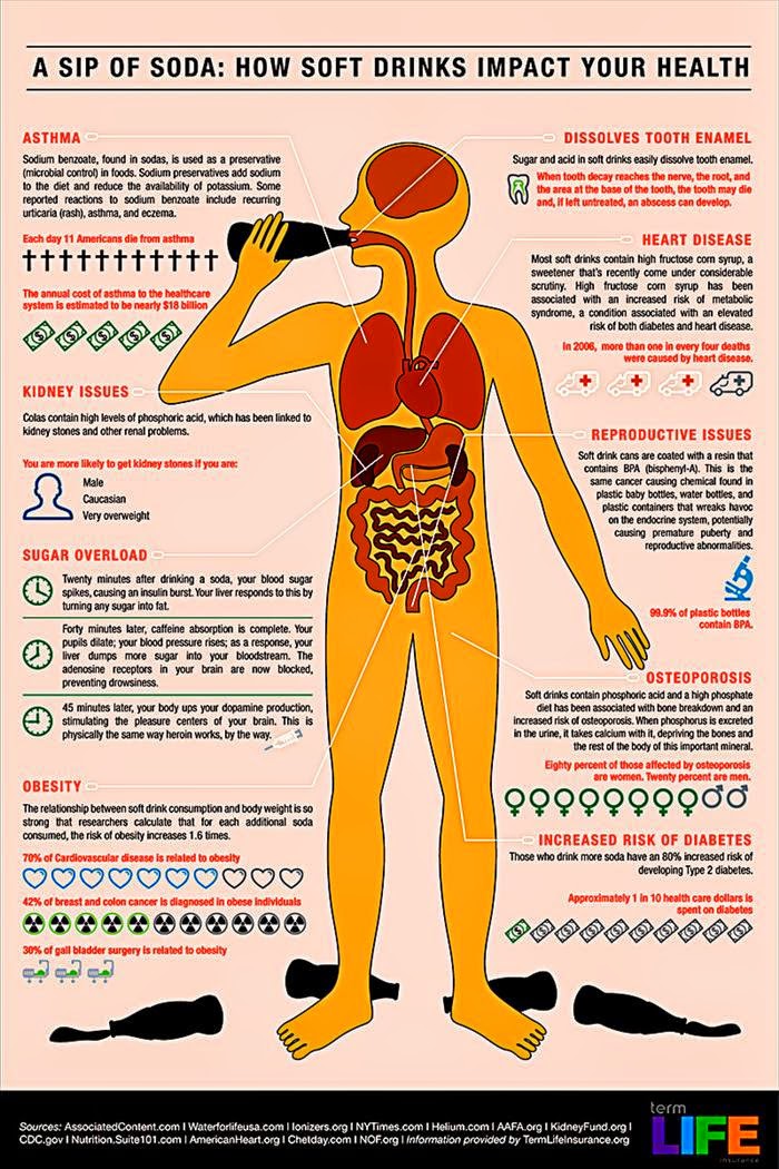 Dr Ecofren How Do Soft Drinks Affect Us?