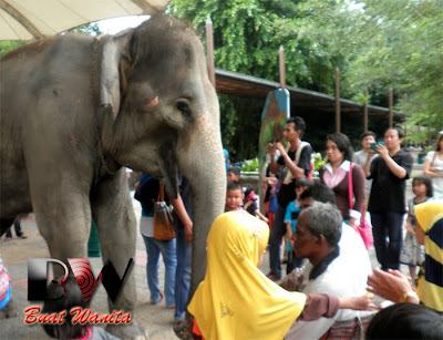 Best Place in Perak, Malaysia: Taiping Zoo & Night Safari. Ticket Fee & Operation Hour