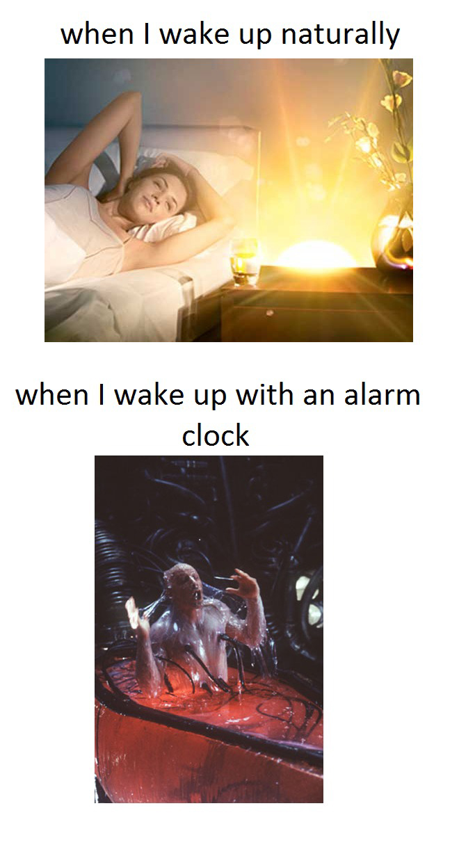 funny Wake Up Naturally vs Wake Up With  An Alarm
