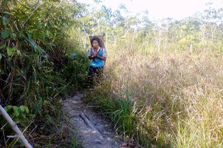 Potret Kemiskinan Kalimantan Barat Potret Kemiskinan Kalimantan Barat