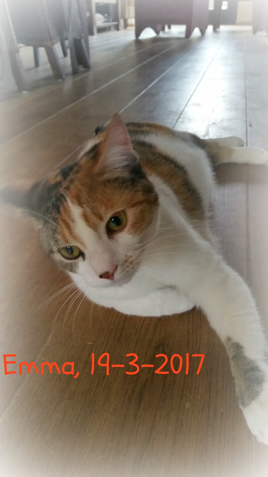 Emma.