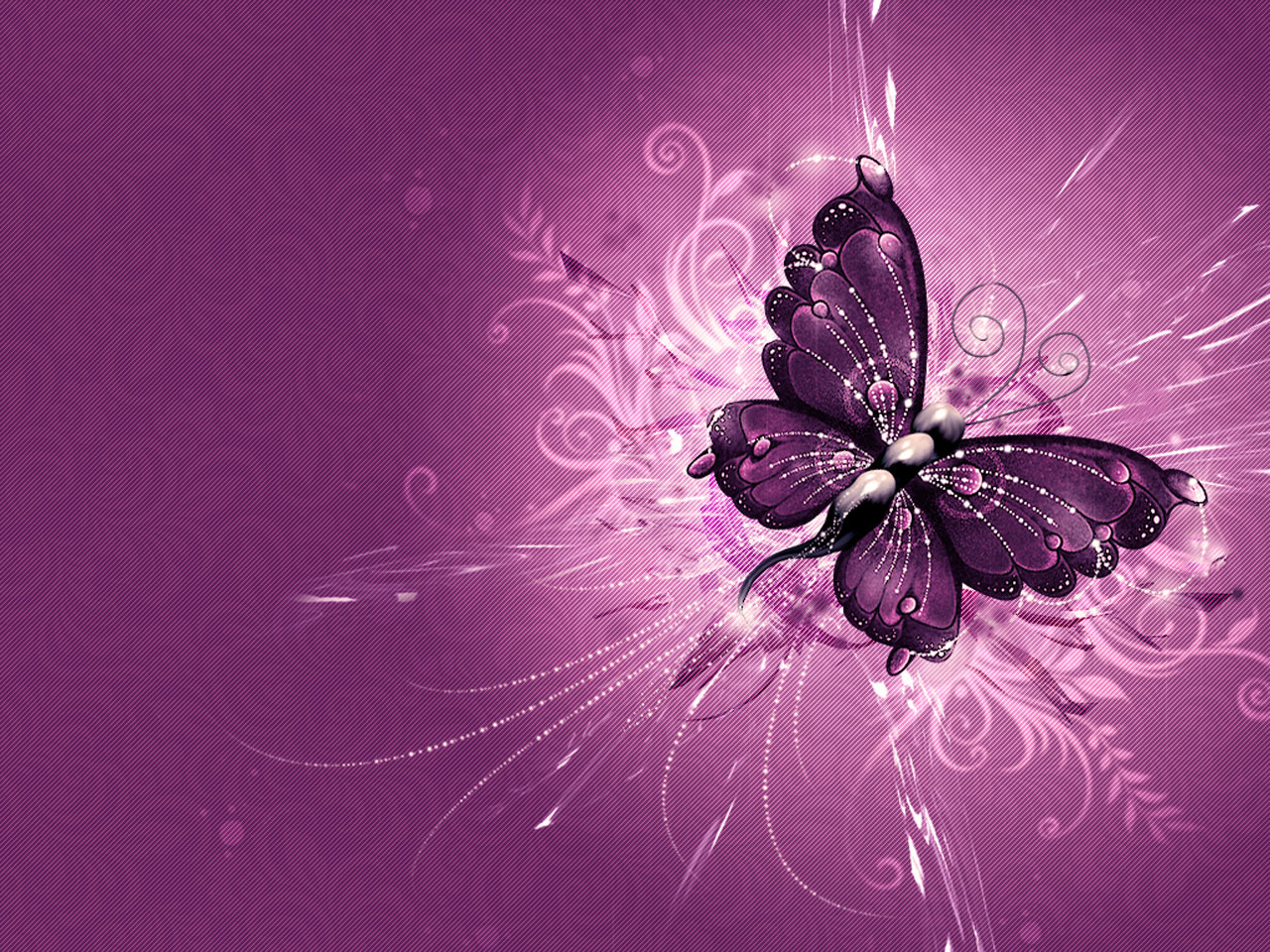 light purple butterfly wallpaper light purple butterfly wallpaper