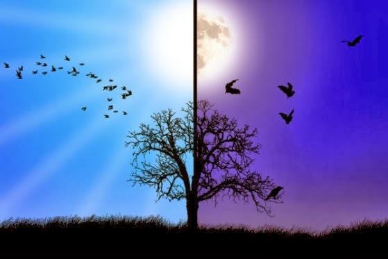 Daytime stock photos, images, & pictures Get sleepy while driving, sleep acne wiki, daytime fatigue night time energy