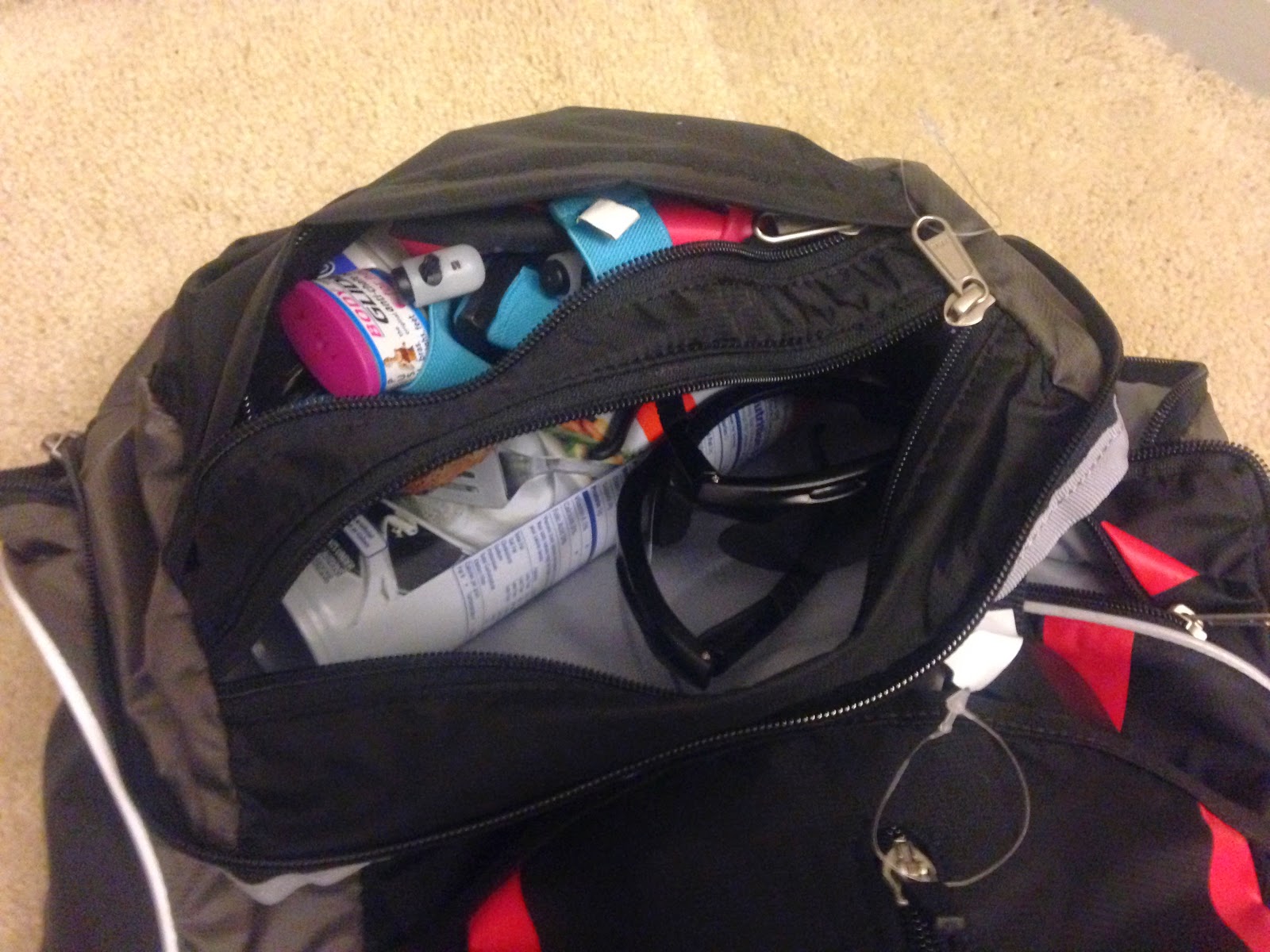 speedo transition bag