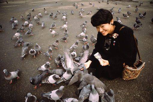 Pigeons-fed+by+woman.jpg