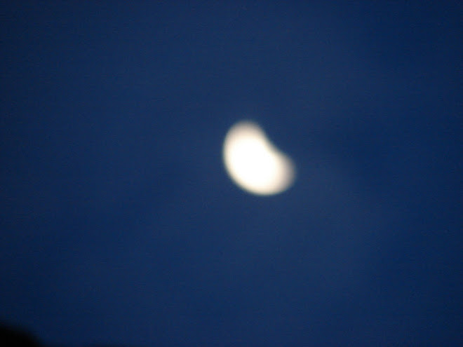 11-febrero-12-13-14-15...2011. la Luna en fase 1/4 c, cambia a Corazon sec del 9-2-2011...6:59 am