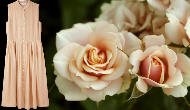 Cacharel dress Cacharel dress and my roses