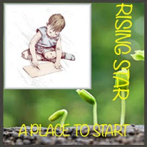 Rising Star Badge at A Place to Start