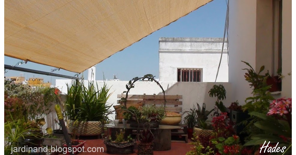 Jardineando ando...: Otros bricos y reciclajes de jardín