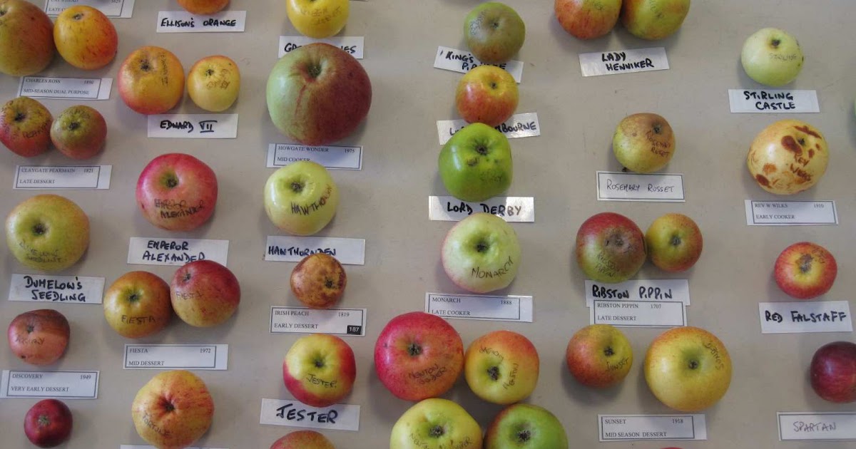 Living in England Apple Day in the UK