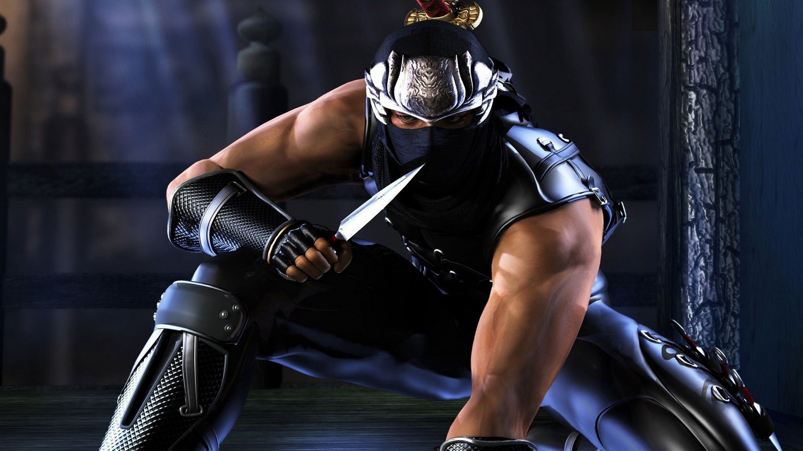 http://2.bp.blogspot.com/-q1YtKaoE4M0/UHaZQWy4CmI/AAAAAAAARZE/igs2AbTOeG8/s1600/ryu_hayabusa_ninja_gaiden_Wallpaper.jpg