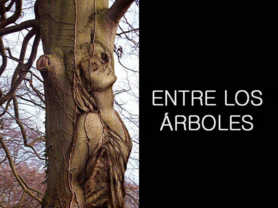 Entre los árboles