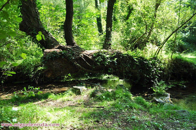 La Garrotxa