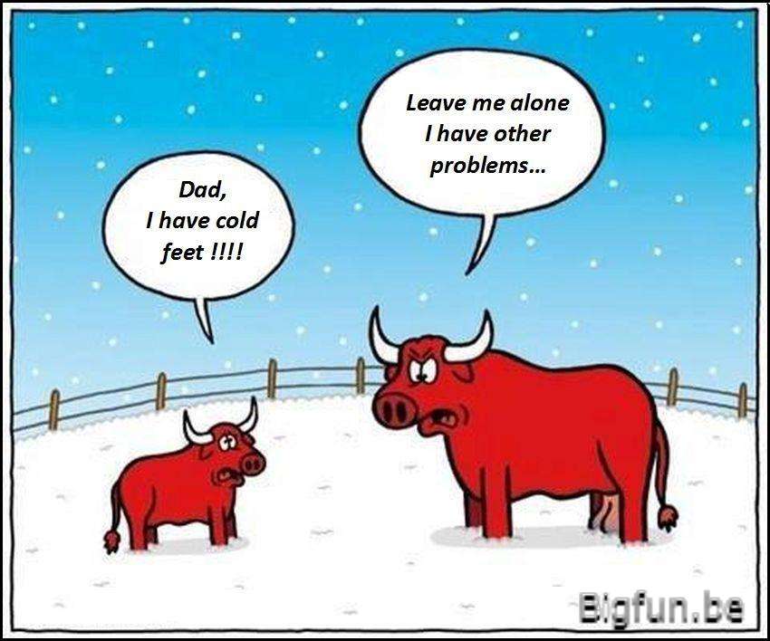 Quotes And Funny Things Quotes And Funny Things