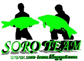 SORO TEAM