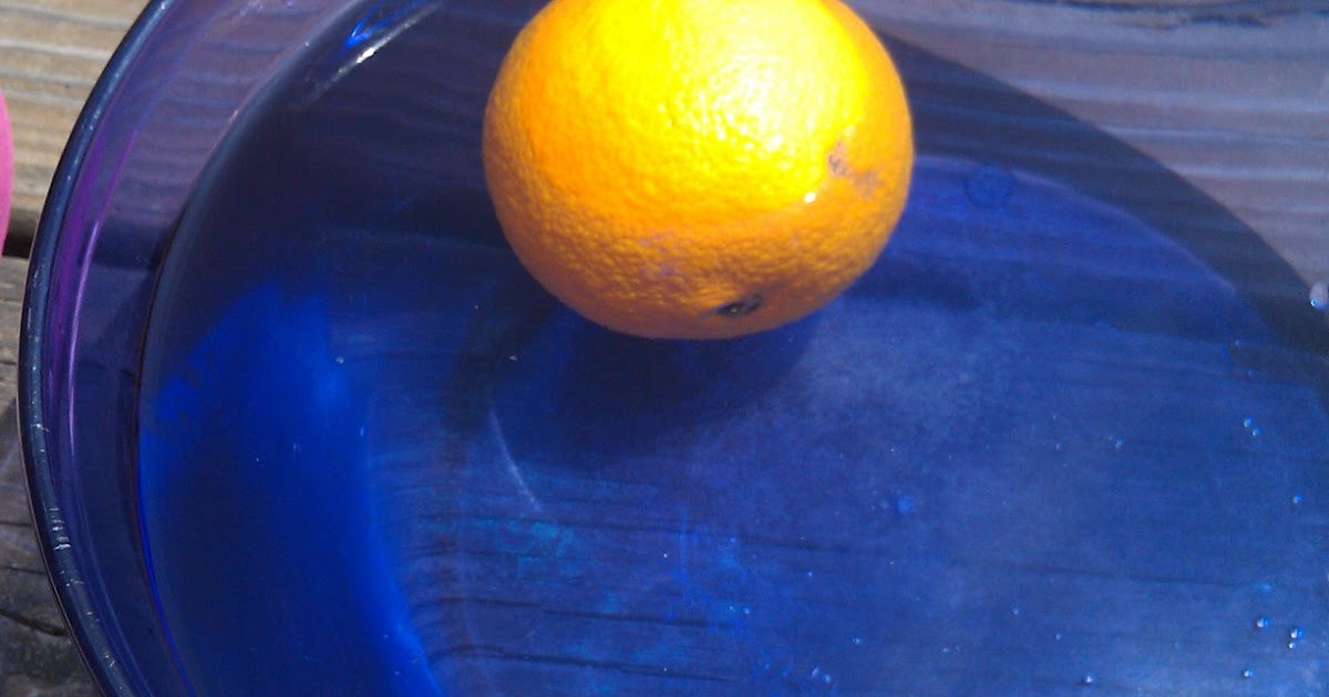 The Cool Science Dad Does an Orange Float or Sink?