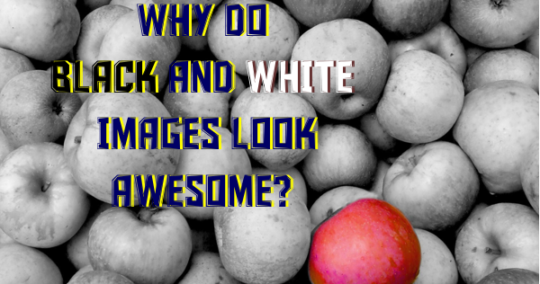 Why Do Black And White Images Look Awesome?