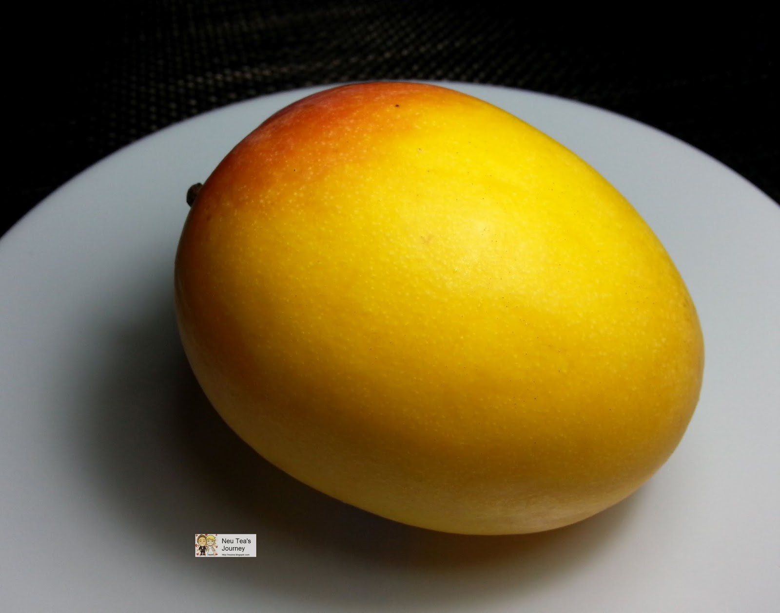 Neu Tea's Journey Singapore Trip Mango, Cherry Apple, Shopping