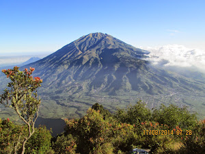 Mt Merbabu as seen in the  morning from Mt Merapi.