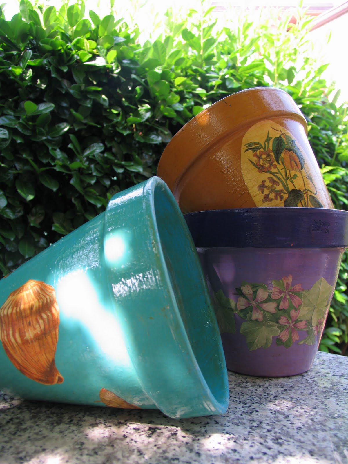 La magia di un piccolo orto: orto in vaso