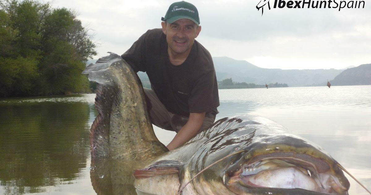 Spanish Ibex Hunts Ibex Hunting in Spain Hunting