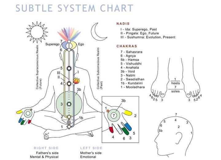 lozen lotus love healing arts definition of chakras from nadi chart