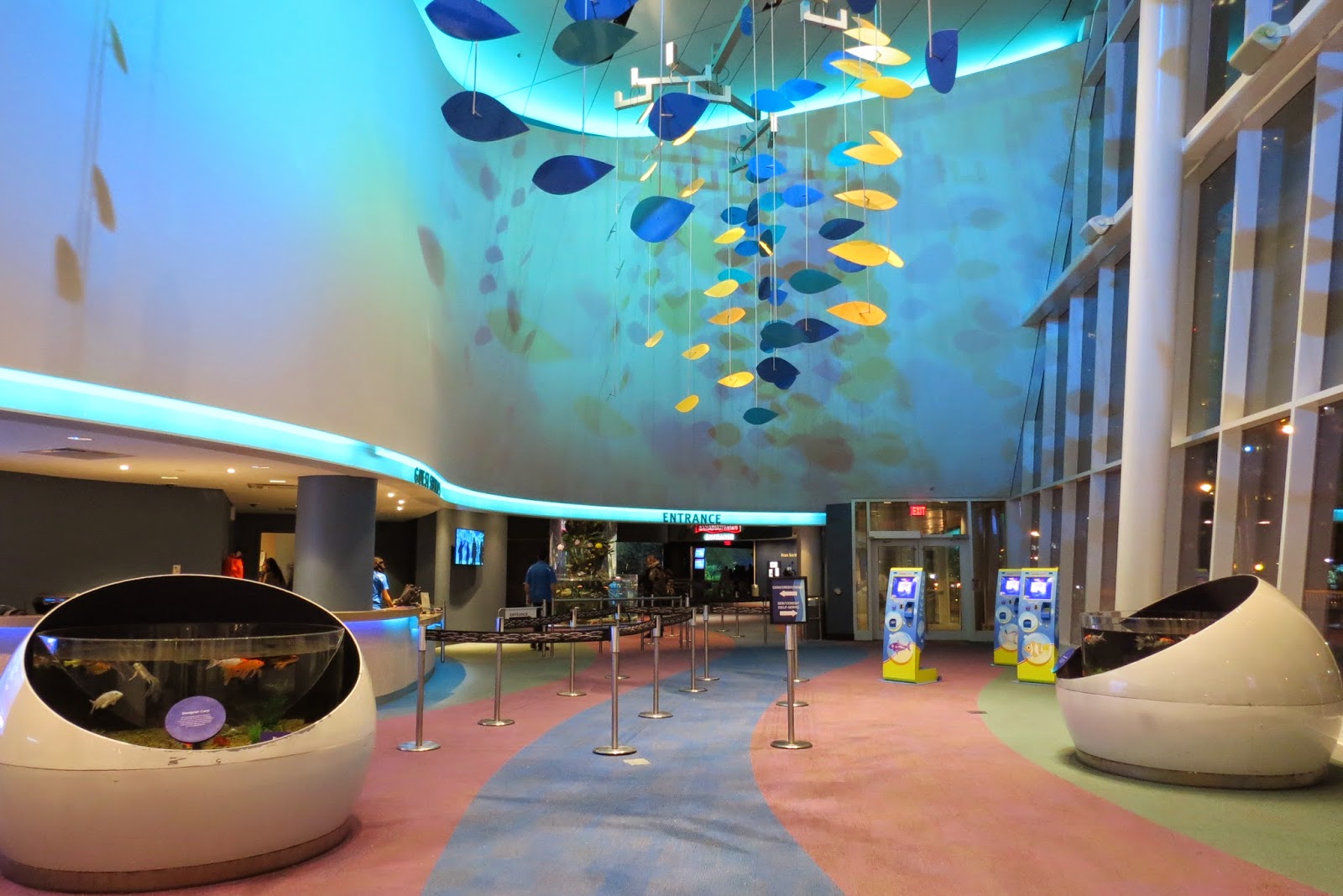 Adventures in PEI and Beyond! Ripley's Aquarium, Toronto A Five Star