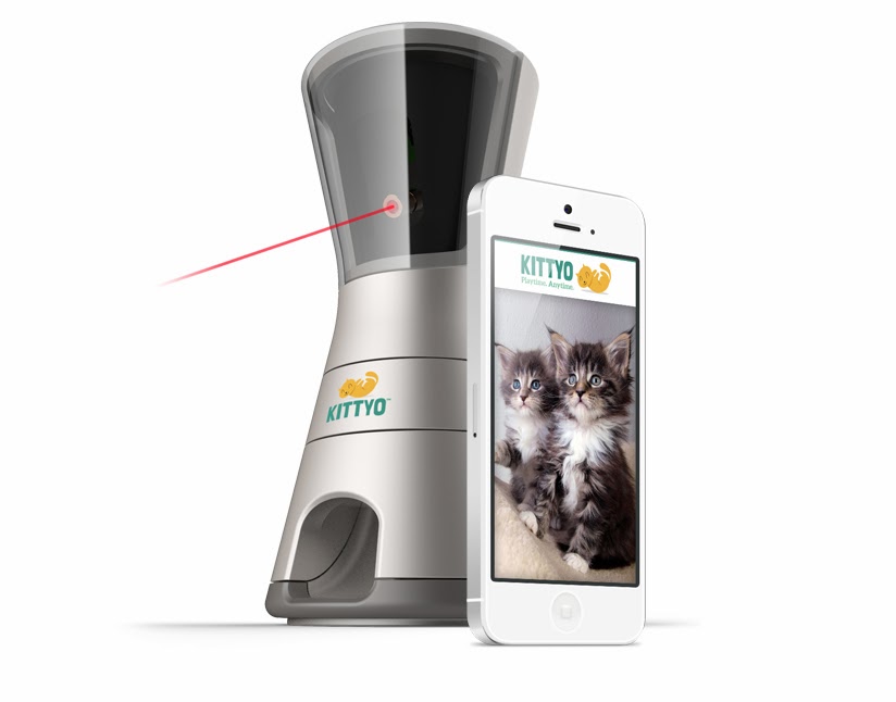 Catladyland Cats are Funny Interact and Communicate with Your Cat