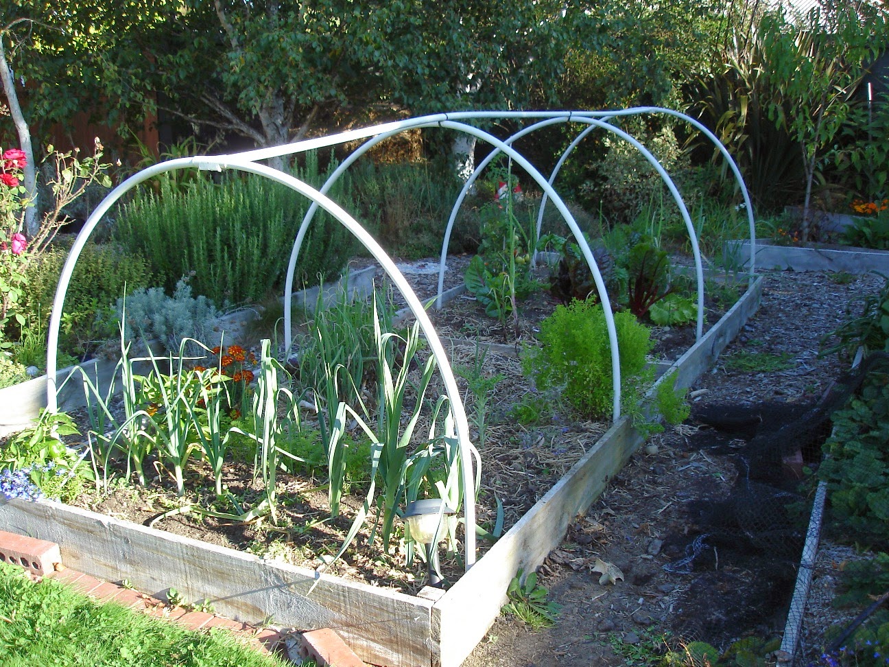 Big Garden Small Budget DIY Mini Shade House or Greenhouse