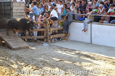 https://picasaweb.google.com/112628067891720623695/AlcocheteFestasBarreteVerdeLargadaDeToirosReportagemFotograficaP118h00140813#slideshow/5944427520272312642