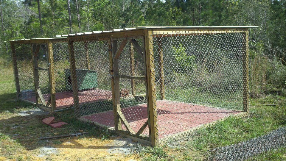 The Real APBT Dog Kennel Setups and Designs