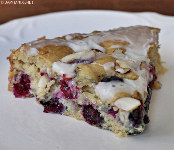 Jam Hands Blueberry Almond Coffee Cake