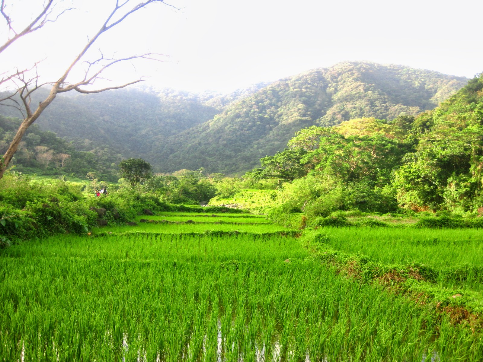 Backpacking Pilipinas Heading North A Guide to Ilocos Norte's Top Spots