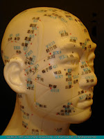 acupuncture channels