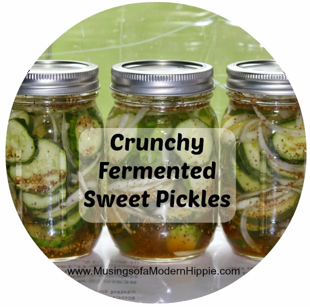 Crunchy Fermented Sweet Pickles