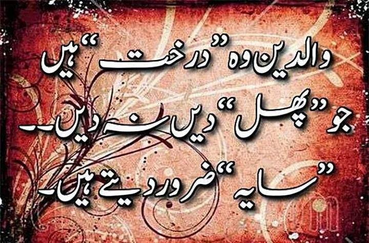 word for parents
