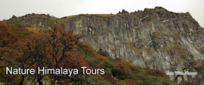 Nature Himalaya Tours