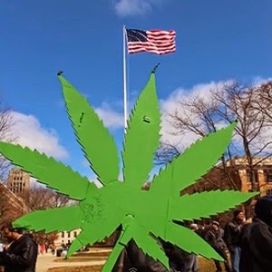 maconha nos EUA michigan
