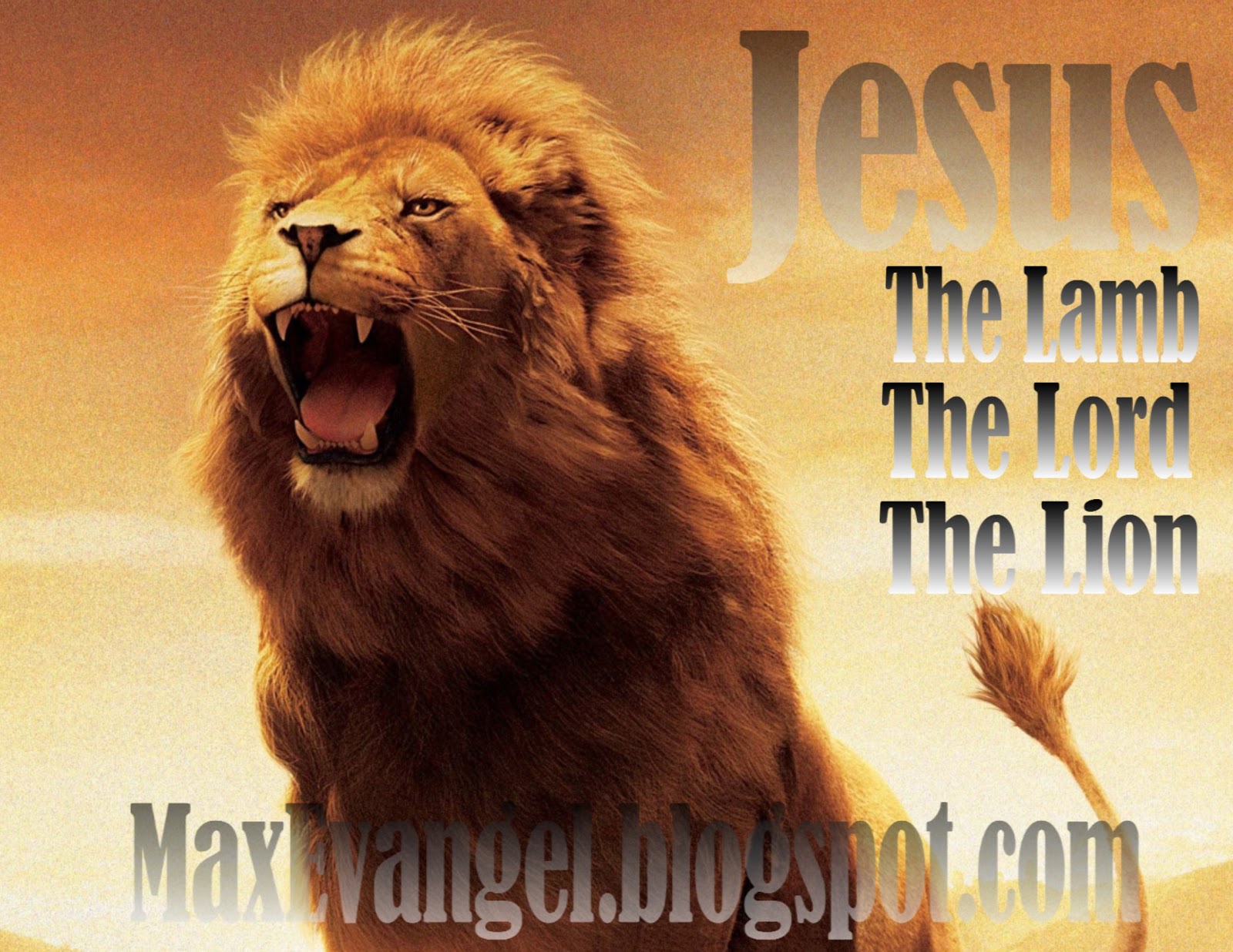 The lion the lamb