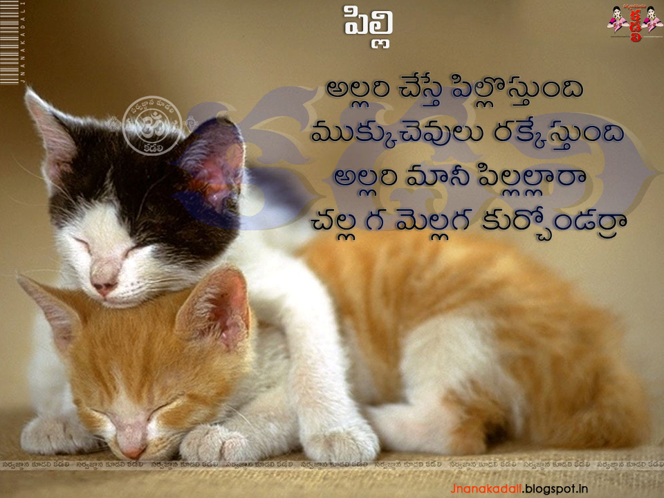 cat song for children cat rhymes for children cat rhymes for children in  telugu | JNANA  |Telugu Quotes|English quotes|Hindi quotes|Tamil  quotes|Dharmasandehalu|