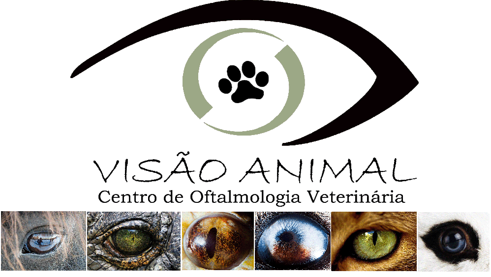 Visão Animal - Centro de Oftalmologia Veterinária
