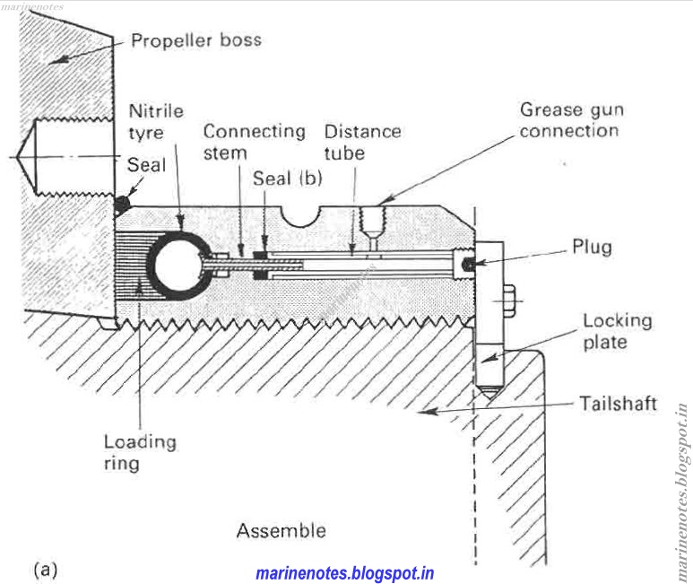 What is pilgrim nut ? and its use and purpose ? Marine Notes