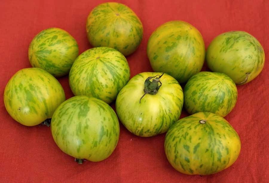edible culture Omelette with Heirloom Green Zebra and Other Tomato