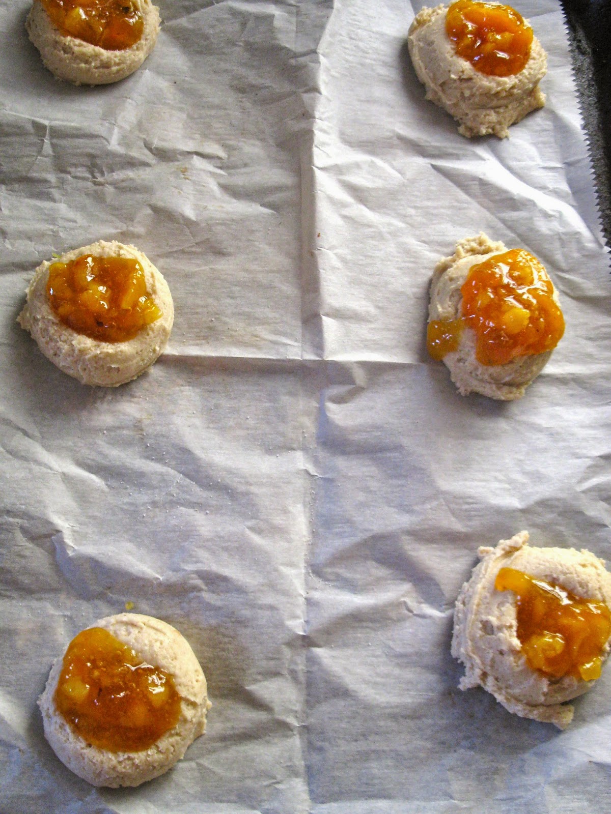 GOBSMACKED BAKING RECIPES APRICOT DELIGHTS...VEGAN FRUIT COOKIES